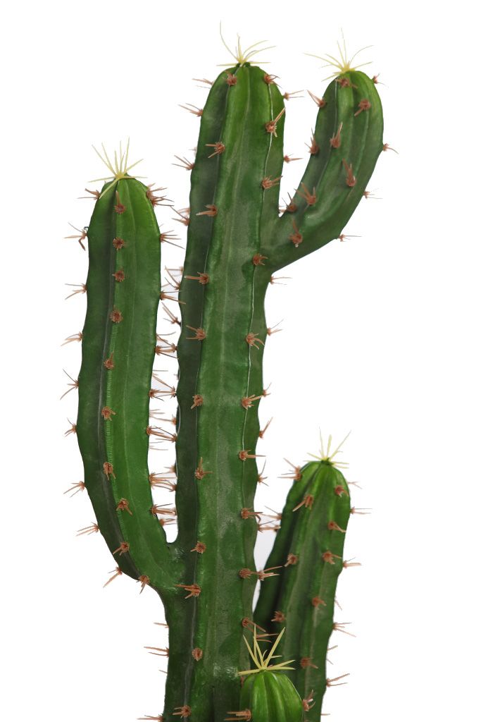 CACTUS 95 CM RF. D045095 - Imagen 2