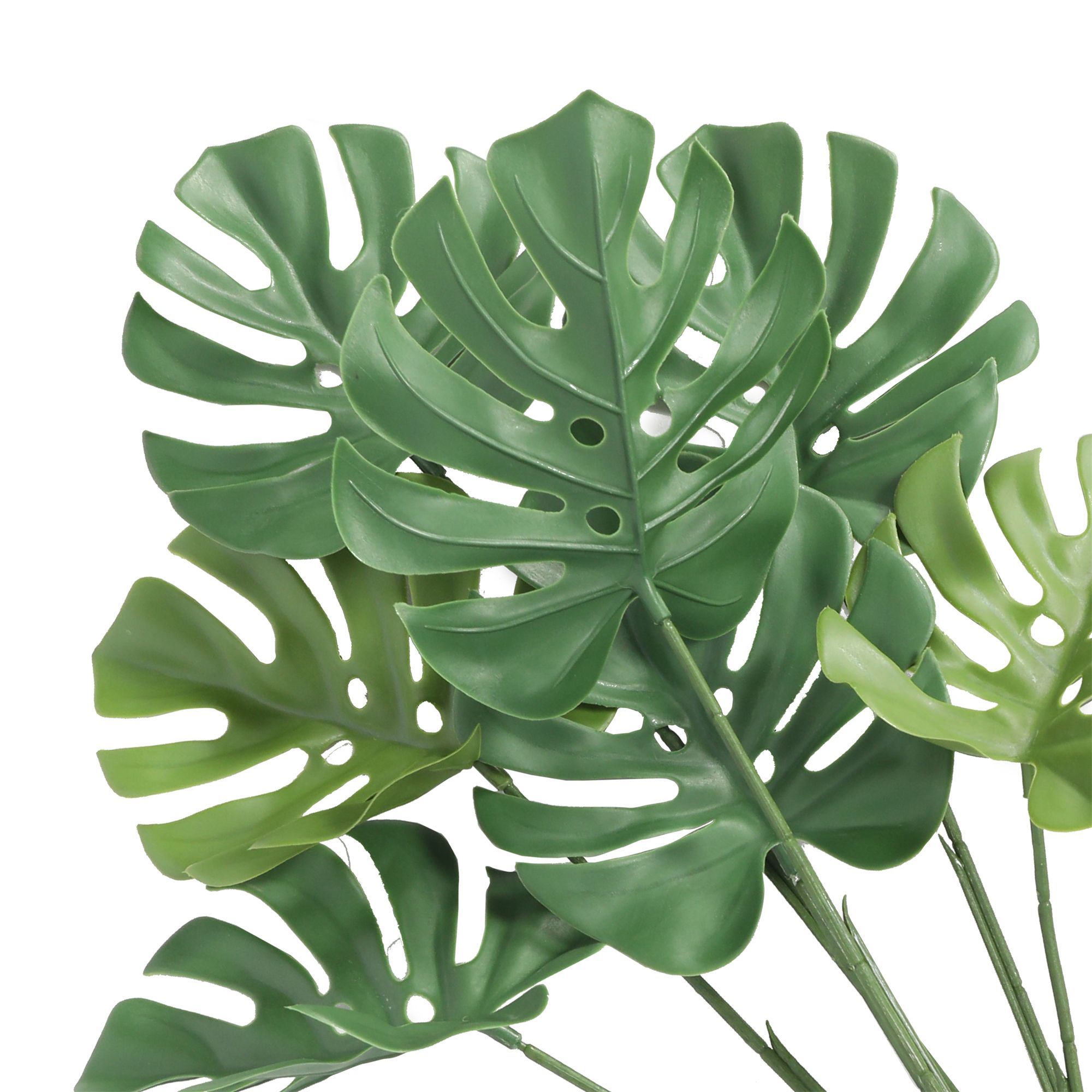 MATA MONSTERA IGNIF. 63 CM RF. DLVS-392 - Imagen 4