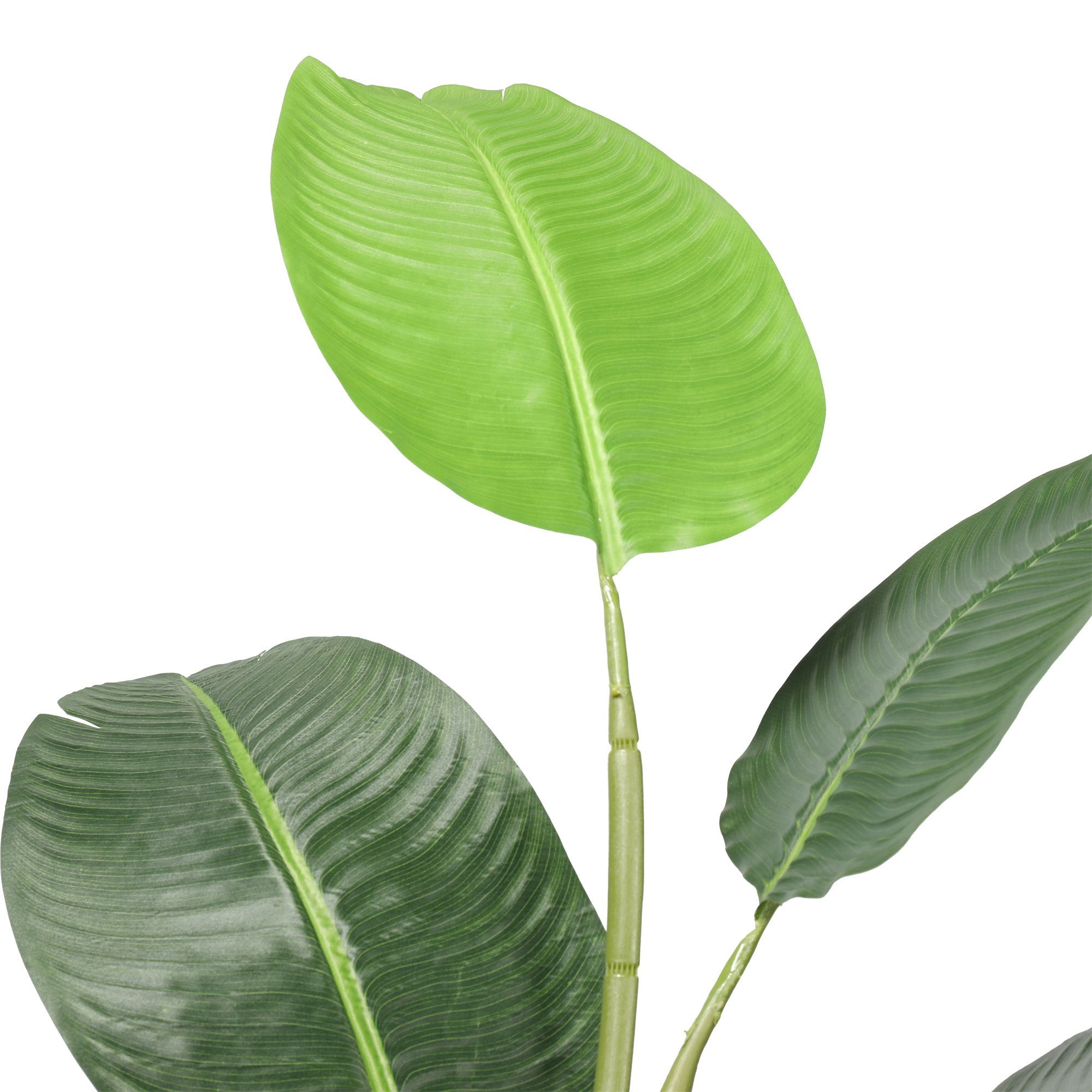 BANANERA IGNIFUGA 210 CM RF. TCG-92 - Imagen 3