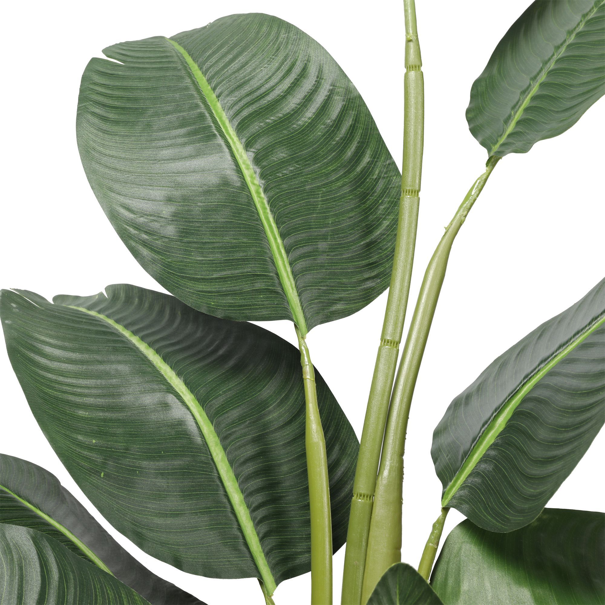 BANANERA IGNIFUGA 210 CM RF. TCG-92 - Imagen 4