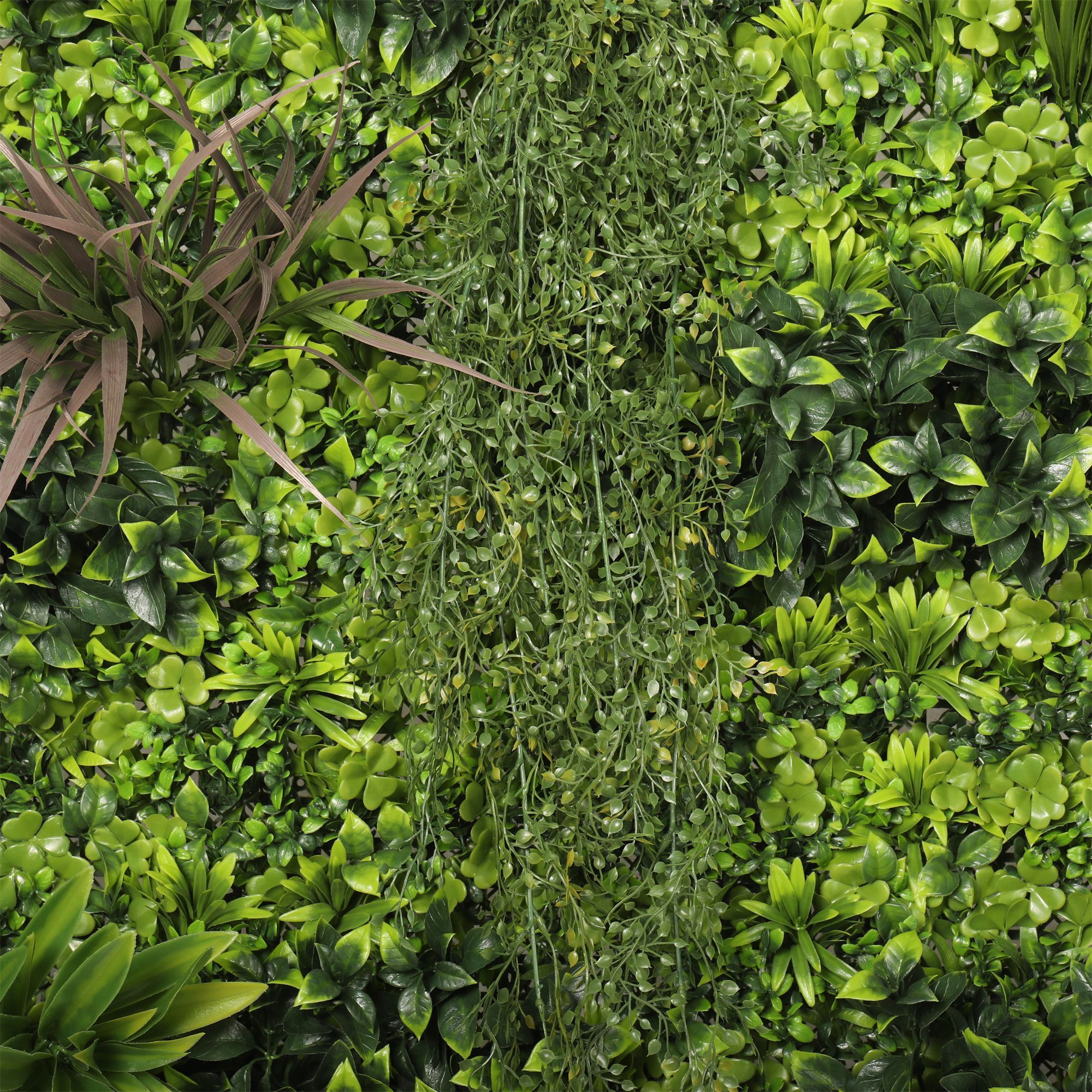 JARDIN VERTICAL IGNIF. 100 CM X 100 CM RF. TNb-122 - Imagen 3