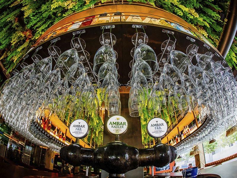 6 plantas artificiales
