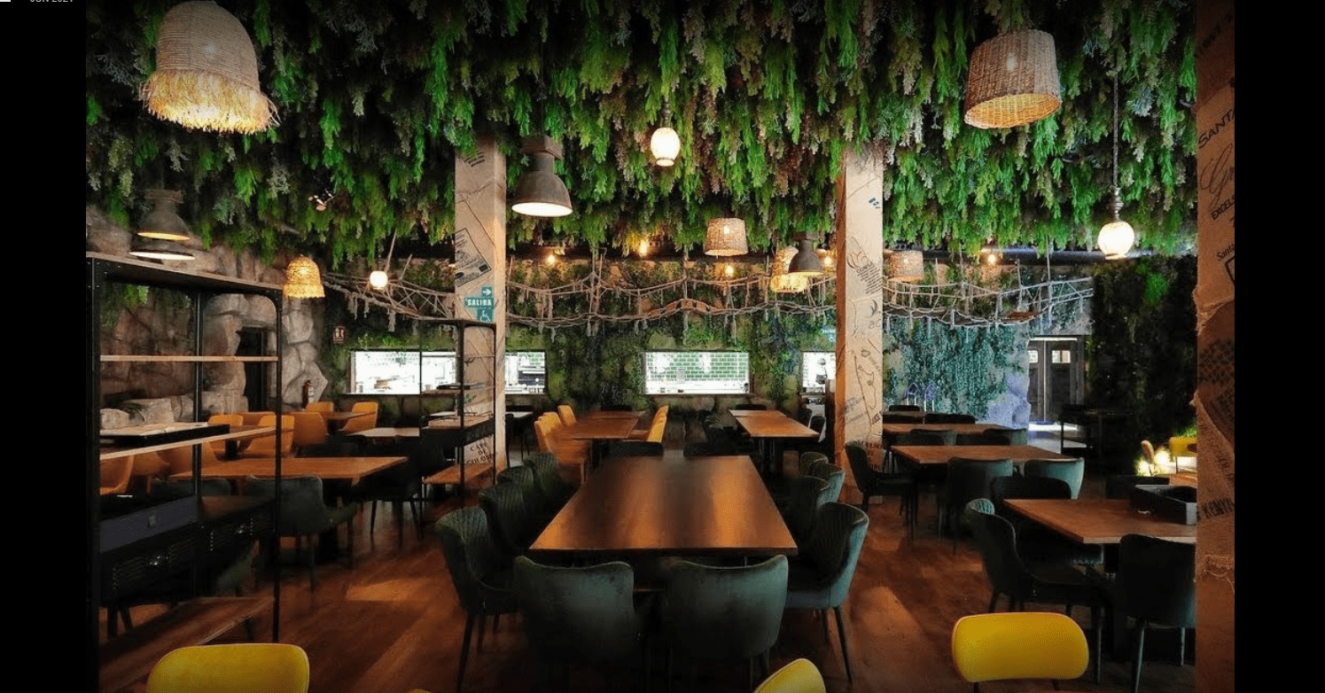 Captura plantas artificiales