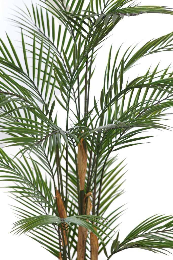 PALMERA 145 CM RF. AP40150 - Imagen 2