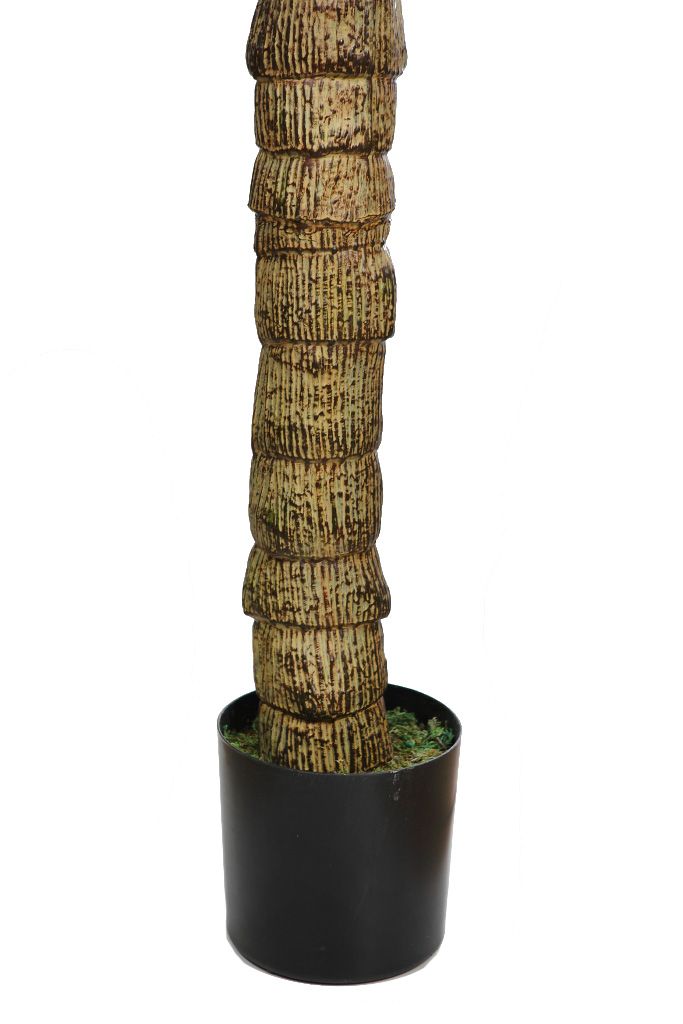 PLANTA YUCCA 200 CM RF. B368TF - Imagen 4
