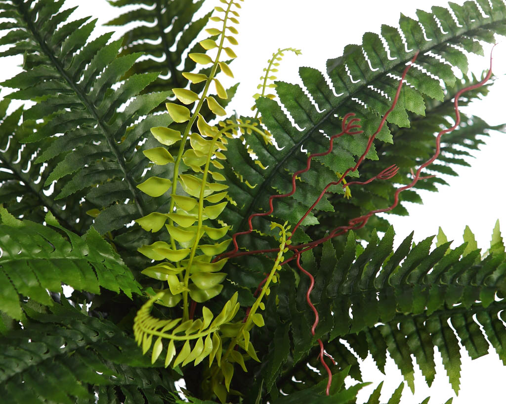 PLANTA HELECHO 70 CM RF. GK0035 - Imagen 2