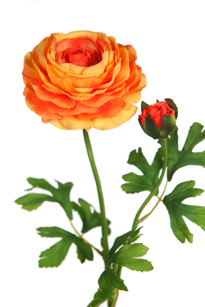 AD0793.12