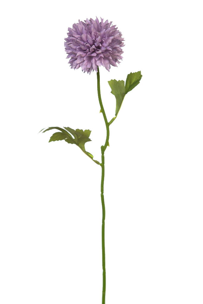 FH0064.06