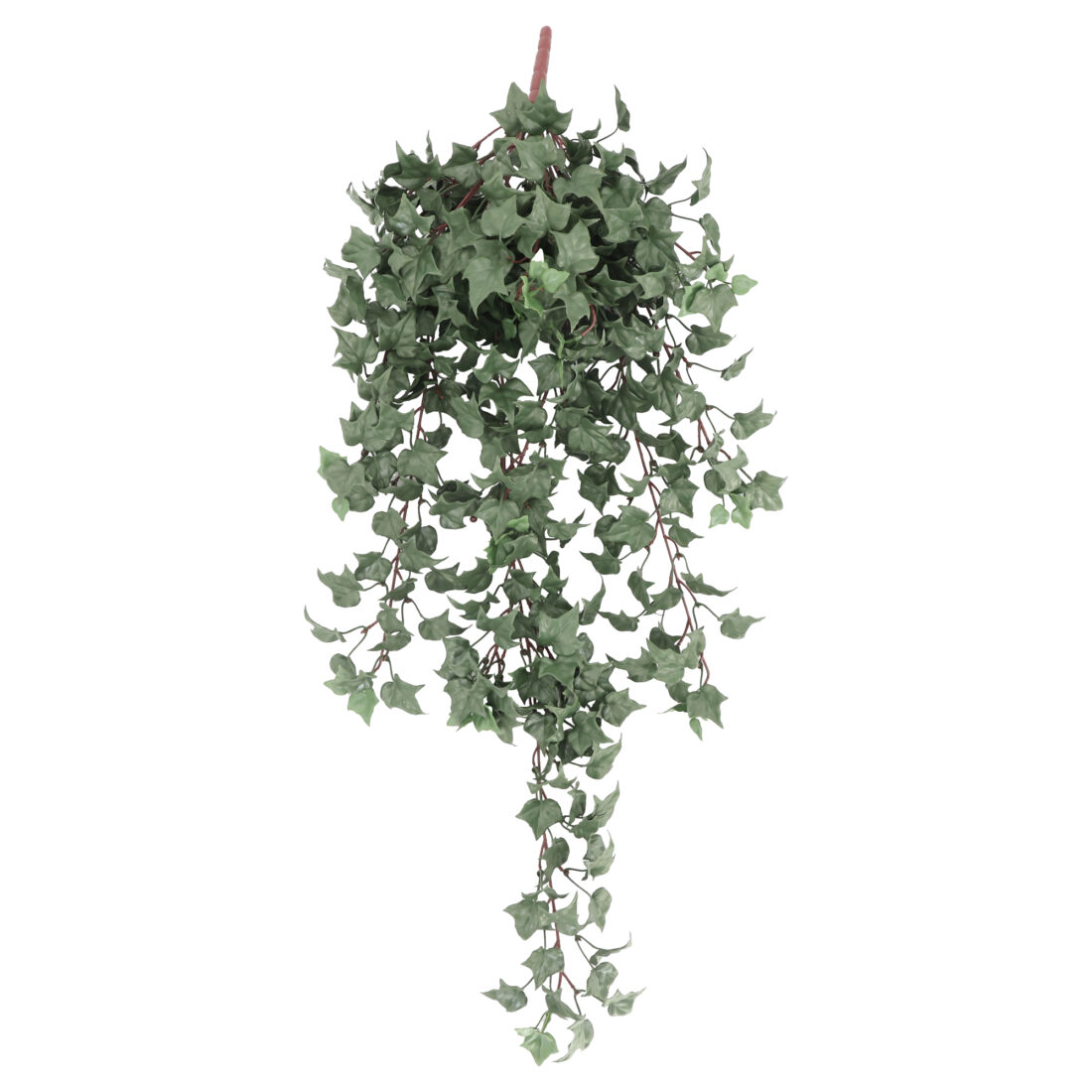 COLGANTE HIEDRA IGNF. 85 CM RF.DLVB-221