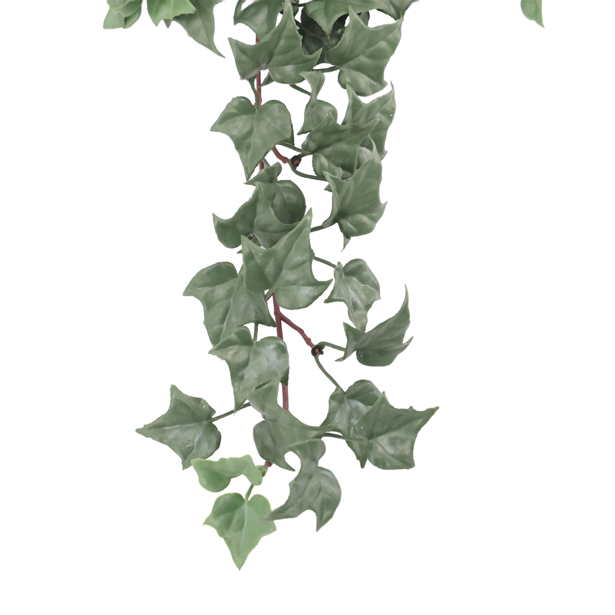 COLGANTE HIEDRA IGNF. 85 CM RF.DLVB-221 - Imagen 3