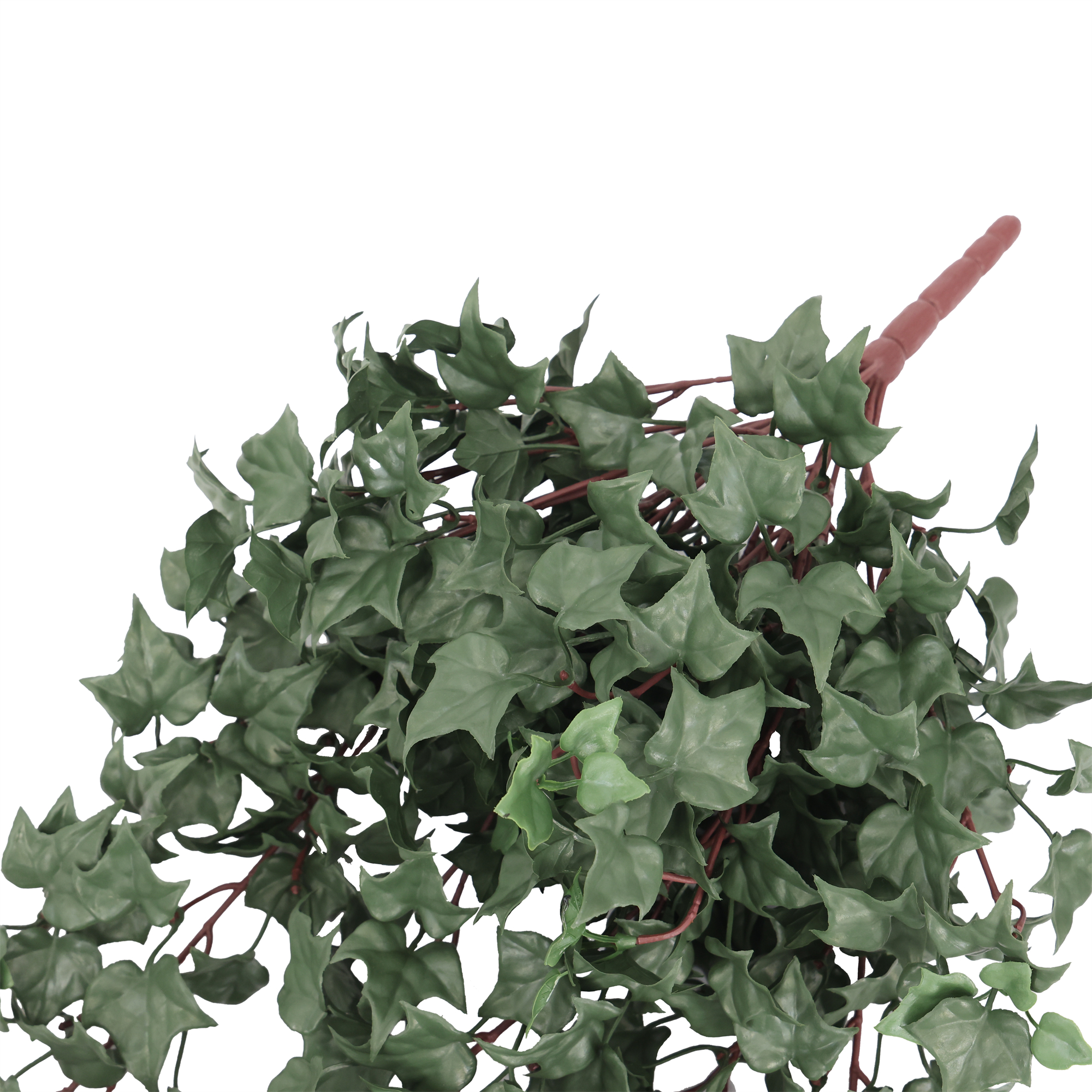 COLGANTE HIEDRA IGNF. 85 CM RF.DLVB-221 - Imagen 5