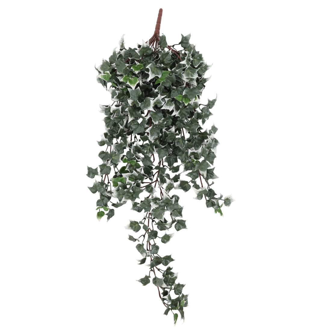 COLGANTE HIEDRA IGNF. 105 CM RF. DLVB-222