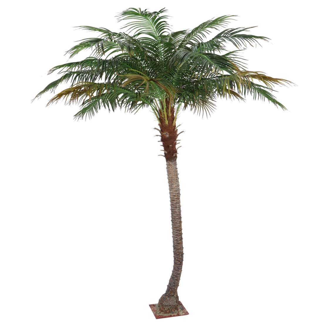 PALMERA PHOENIX IGNF. 280 CM RF.TCA-24
