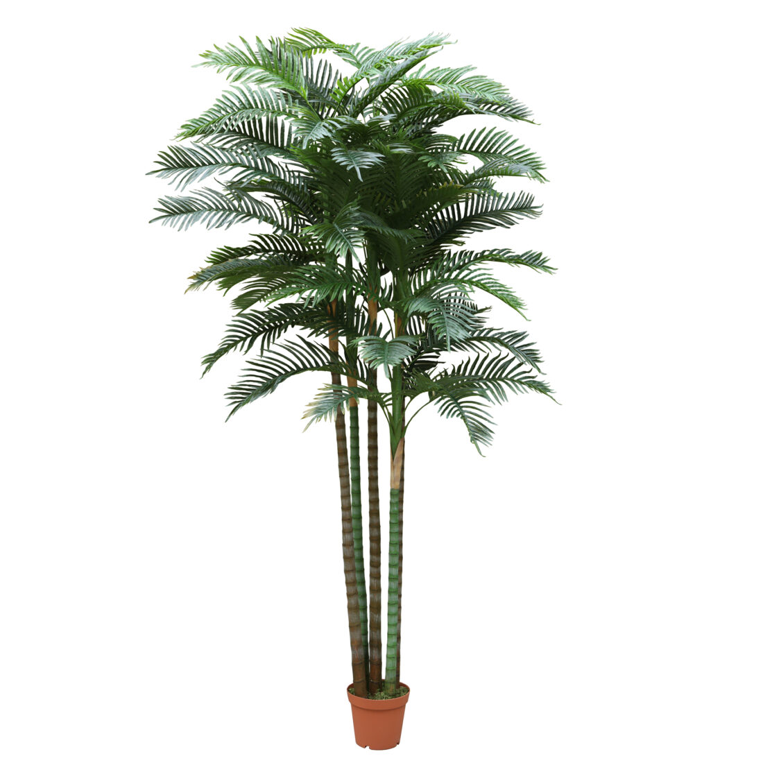 PALMERA 300 CM RF.TCA-29