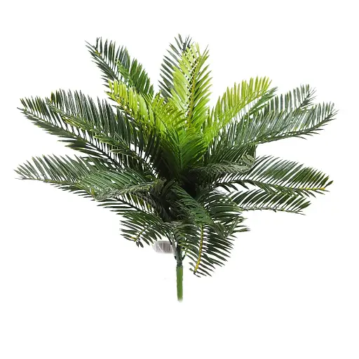 CYCA 46CM RF. 71991