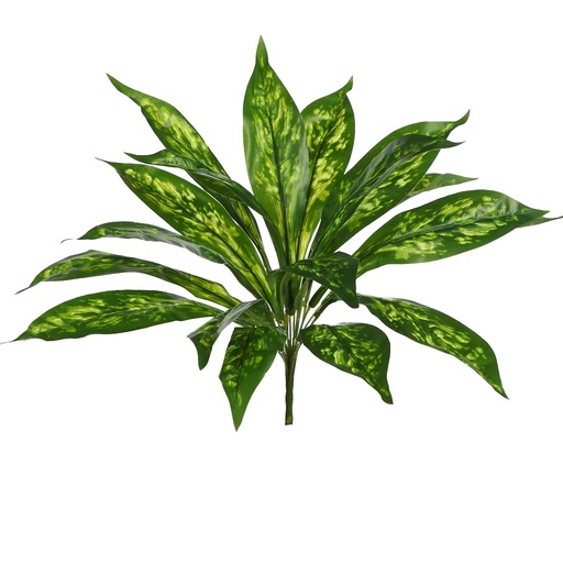 PLANTA DIFEMBACHIA 40 CM RF.GFH0165