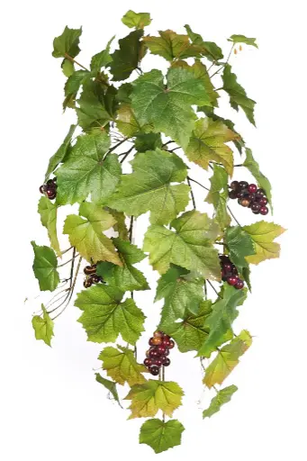 MATA PARRA UVAS 70 CM RF.72515