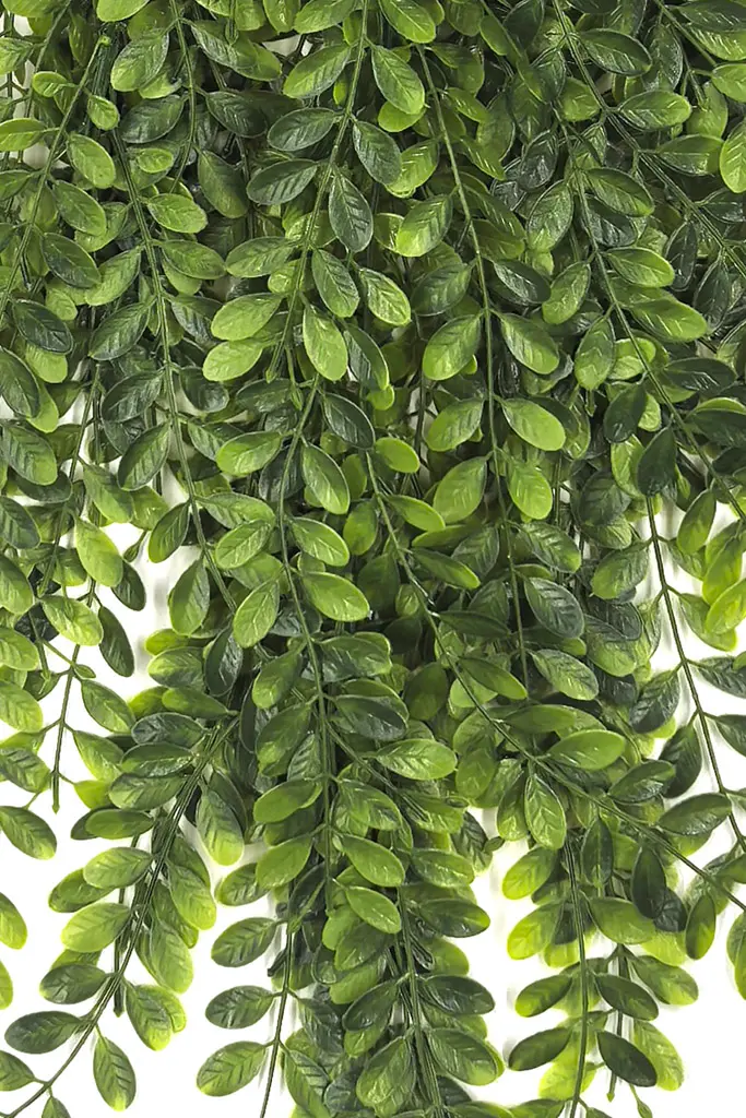 COLGANTE ACACIA UV.90 CM RF.T105 - Imagen 2